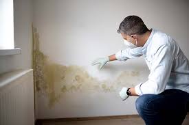 Best Air Quality Testing for Mold Spores  in Parachute, CO